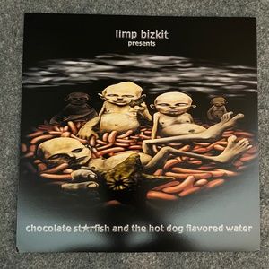 LIMP BIZKIT 12x12 Chocolate Starfish & The Hot Dog Flavored Water Poster Flat